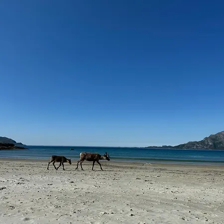 Stor Og Fin I Appartamento *