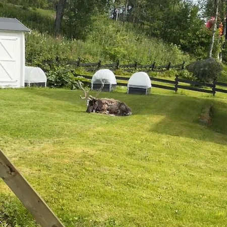 Stor Og Fin I Appartamento Tromsø