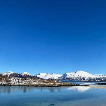 Stor Og Fin I