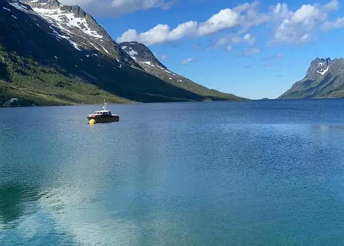 Stor Og Fin I *