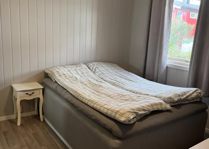 Stor Og Fin I Tromsø